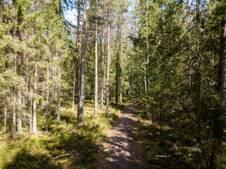 Obraz premium obraz drona. widok z lotu ptaka na tereny wiejskie z polami i lasami