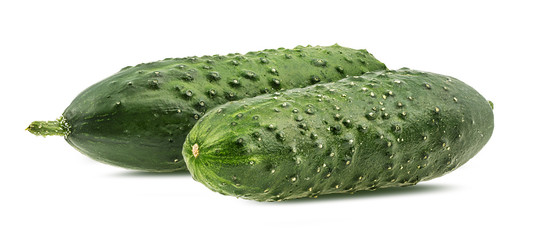 Fresh cucumber isolated on white background with clipping path
