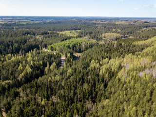 drone image. aerial view of rural area with fields and forests