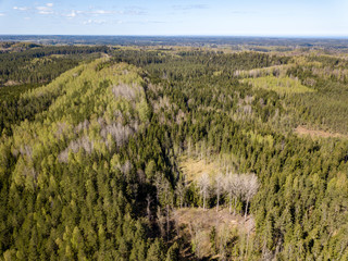 drone image. aerial view of rural area with fields and forests
