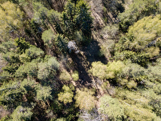 drone image. aerial view of rural area with river in forest from above