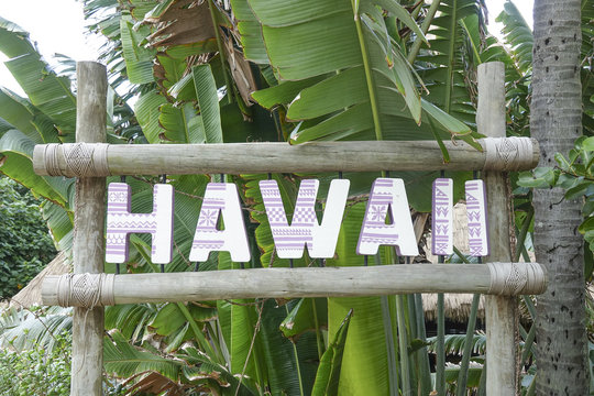 Hawaiian Sign