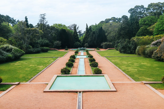 jardim