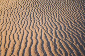 textura de la arena del desierto al atardecer