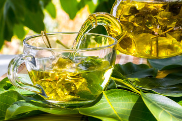 Mountain tea beautifully composed in the nature