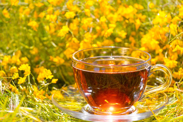Black tea beautifully composed in the nature