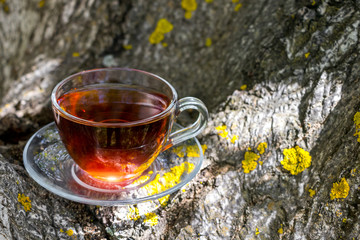 Black tea beautifully composed in the nature