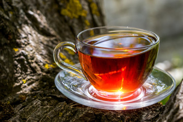Black tea beautifully composed in the nature