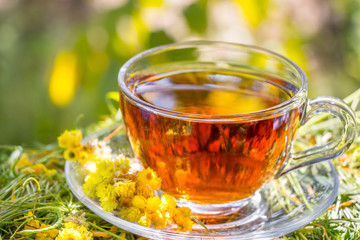 Black tea beautifully composed in the nature