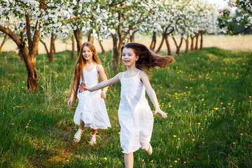 beautiful young girls with blue eyes in a white dresses  in the garden with apple trees blosoming having fun and enjoying smell of flowering spring garden at the sunset. two friends running