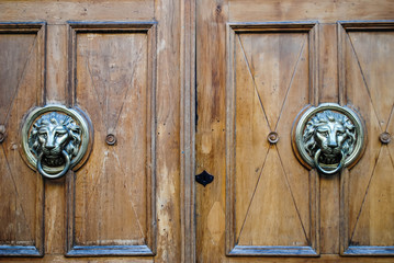 Doors with a lion-shaped handle