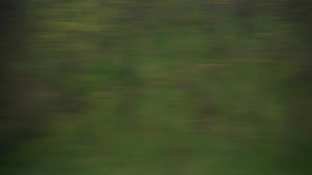 Window View from Train, Car or Bus