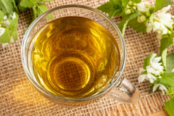 A cup of white dead-nettle tea with fresh blooming plant