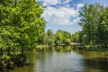 Fototapeta premium city green park space in summer time near lake