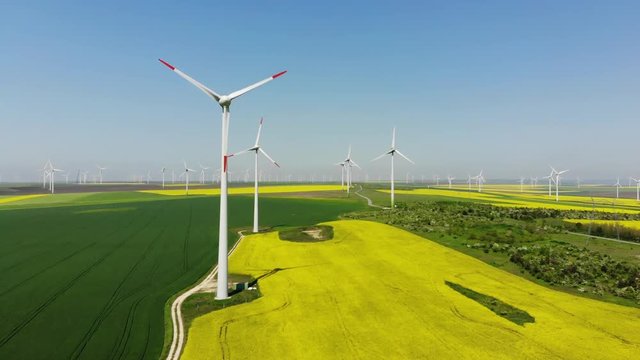 Aerial view of wind turbines. Rapeseed field in bloom. Renewable energy