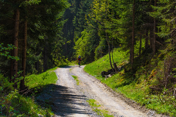 Waldweg im Stubaital mit Mountainbiker