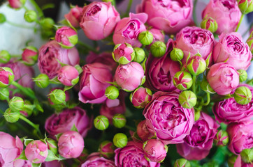 wedding bouquet of roses and pions of berries and greens with lavender.