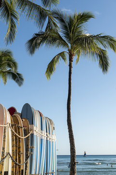 Surfboards on Waikiki beach