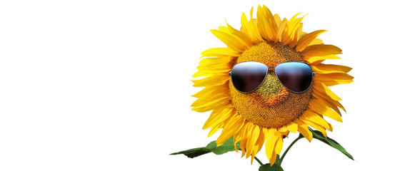 Obraz premium Sonnenblume mit Sonnenbrille auf weissem Hintergrund