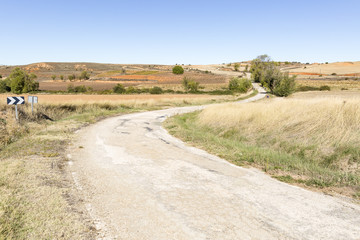 landscape with a country road at Matanza de Soria, Province of Soria, Spain