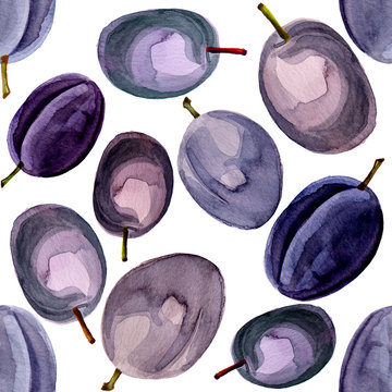 Watercolor illustrated plum pattern set isolated on white background
