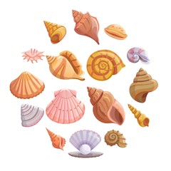 Sea shell beach icons set. Cartoon illustration of 16 Sea shell beach tropical underwater vector icons for web