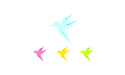 Bird logo template