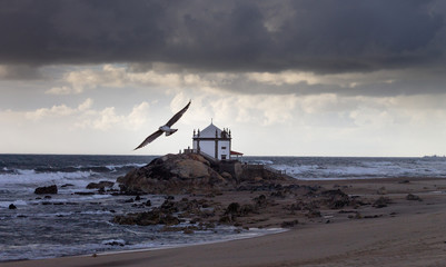 Fototapeta na wymiar Seagull Flies Near Chapel at the Beach