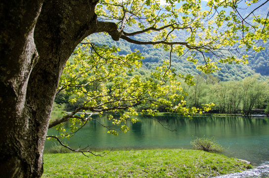 Lago di canneto