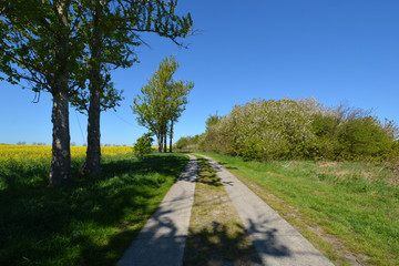 Hochuferweg Juliusruh, Drewoldke, Vitt