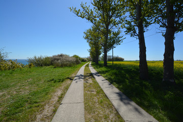 Hochuferweg Juliusruh, Drewoldke, Vitt