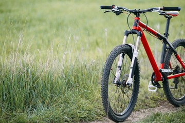 Cropped image of bicycle in green summer grass. Sports, activity, healthy lifestyle, ecological tourism, environment protection concept