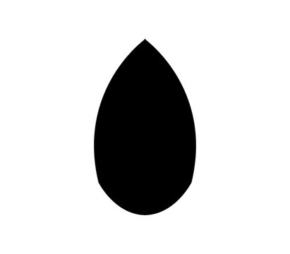 almond icon
