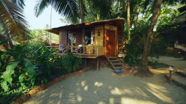 Summer bungalow on background tropical palm and trees in jungle thickets
