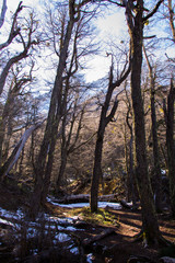 Obraz premium Refugio Frey Hike Mountain - with snow, in Bariloche - Argentina, Patagonia