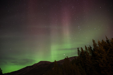 Northern Lights in Bannf National Park