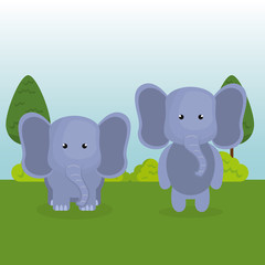 cute elephants couple in the field landscape character vector illustration design