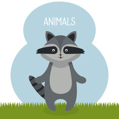 cute raccoon in the field landscape character vector illustration design