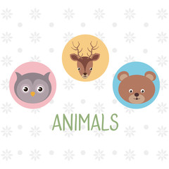 cute group of animals heads characters vector illustration design