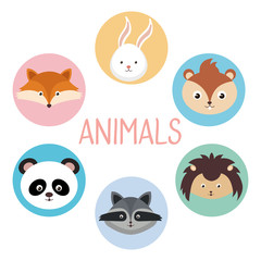Obraz premium cute group of animals heads characters vector illustration design