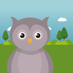 cute owl in the field landscape character vector illustration design