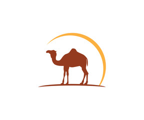 camel and sun vector icon logo design