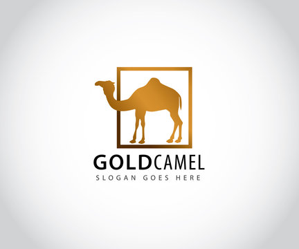 gold camel inside box vector icon logo design