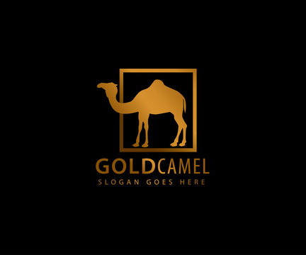gold camel inside box vector icon logo design