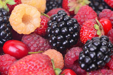 Fresh berries