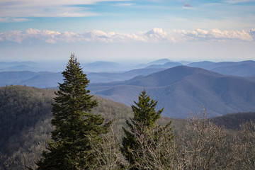 Two evergreens in front of the blue North Georgia mountains 