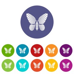 Butterfly with striped pattern on wings icon