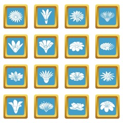 Detailed flower icons set sapphirine square vector