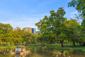 Obraz premium Beautiful tree side the swamp in the park with nature background.