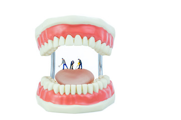 miniature people and dental model object,dental care concept